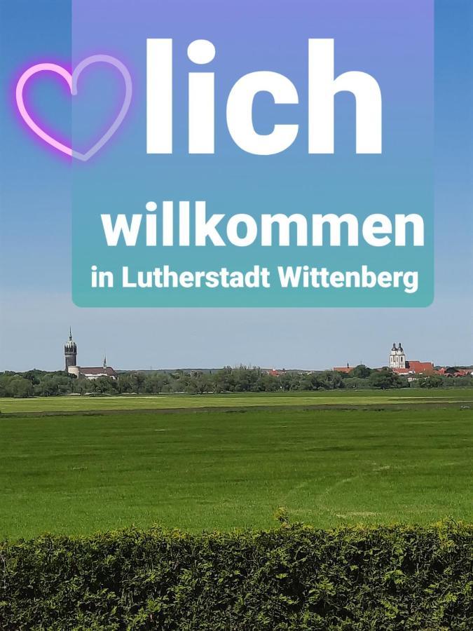 Ferienwohnung Mit Elbwiesenblick Wittenberg Buitenkant foto