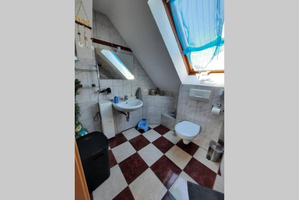 Ferienwohnung Mit Elbwiesenblick Wittenberg Buitenkant foto