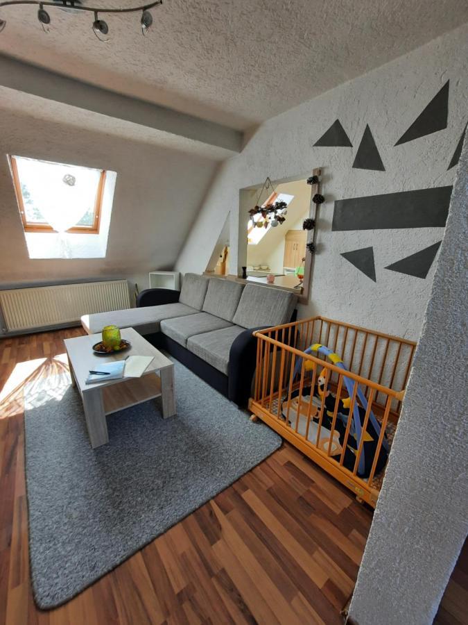 Ferienwohnung Mit Elbwiesenblick Wittenberg Buitenkant foto