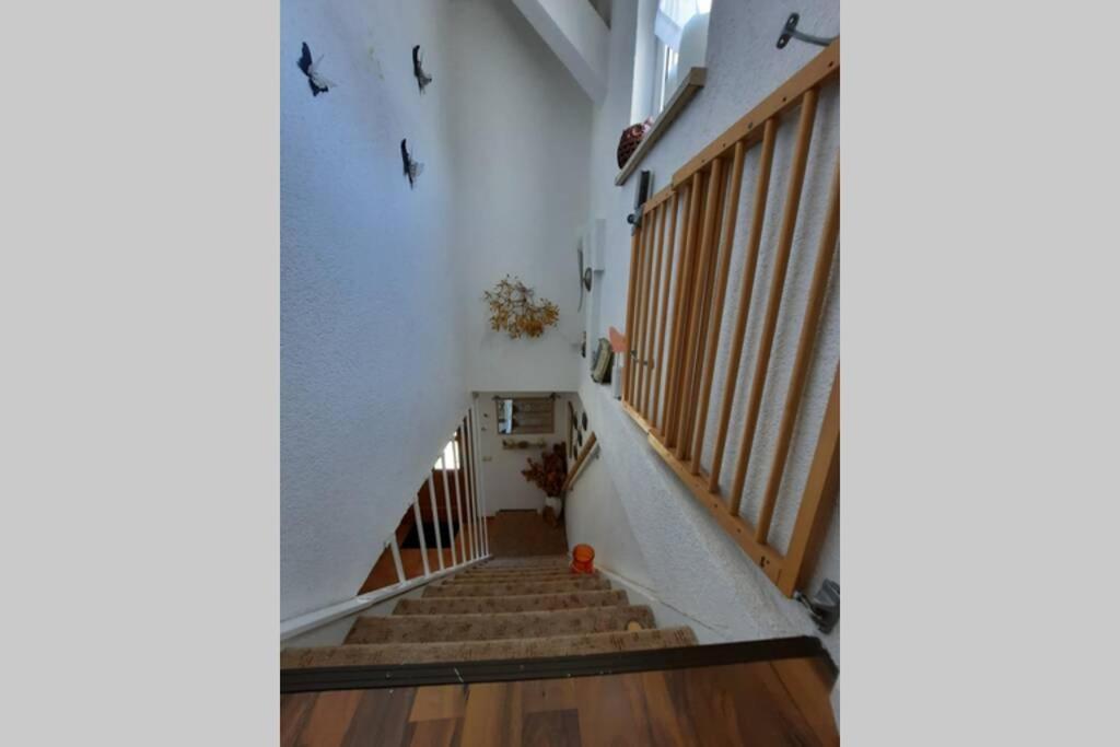 Ferienwohnung Mit Elbwiesenblick Wittenberg Buitenkant foto