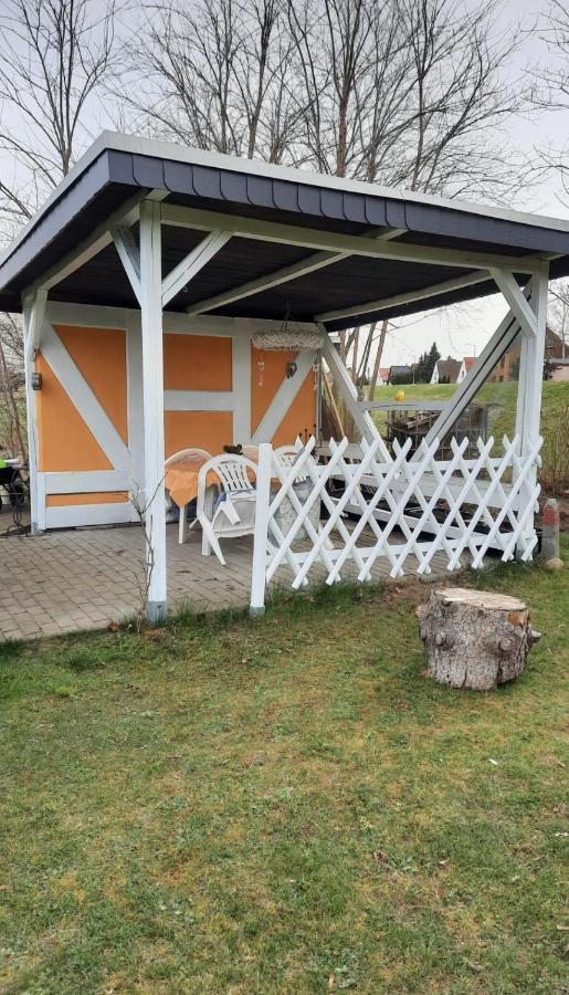 Ferienwohnung Mit Elbwiesenblick Wittenberg Buitenkant foto